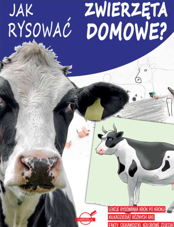 Jak rysować zwierzęta domowe? PRACA ZBIOROWA Książka