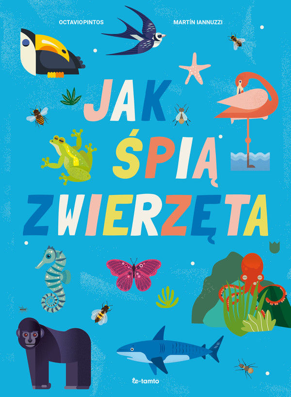 Jak śpią zwierzęta