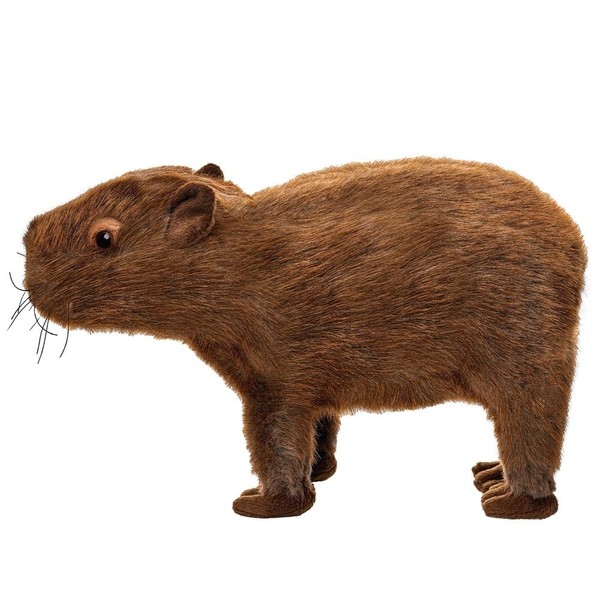 Maskotka Kapibara 33 cm