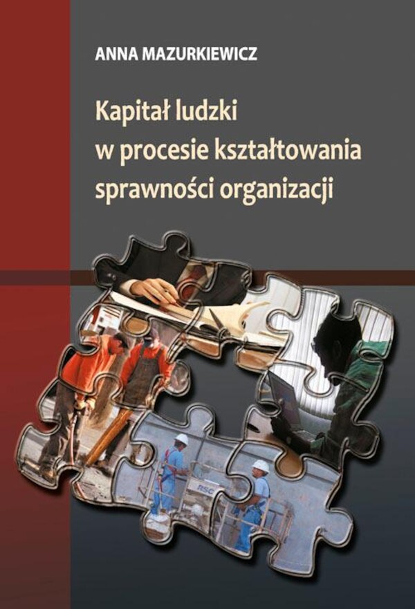 Kapitał ludzki w procesie kształtowania sprawności organizacji - pdf