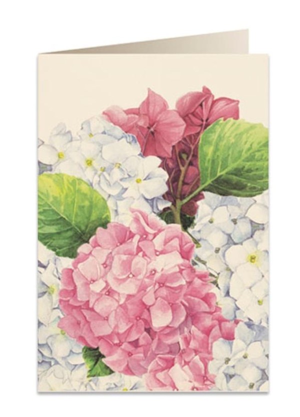 Karnet B6 + koperta Różowa hortensja 5548