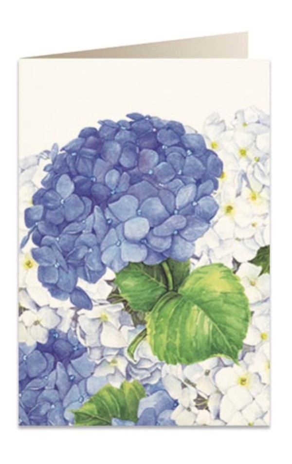 Karnet B6 + koperta Niebieska hortensja 5549