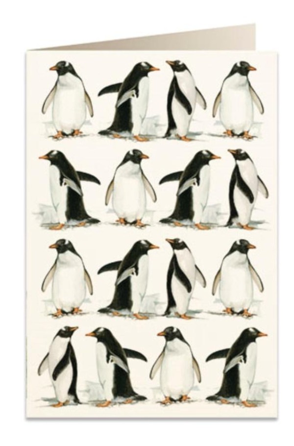 Karnet B6 + koperta Pingwiny 5608