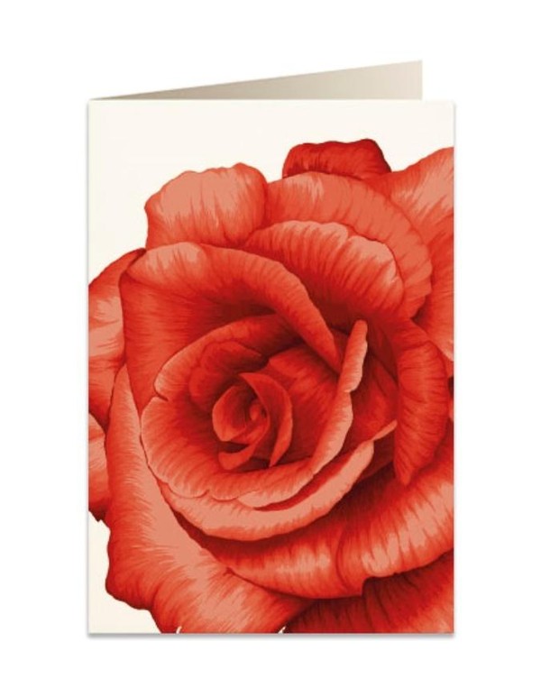 Karnet B6 + koperta Czerwona róża 5676