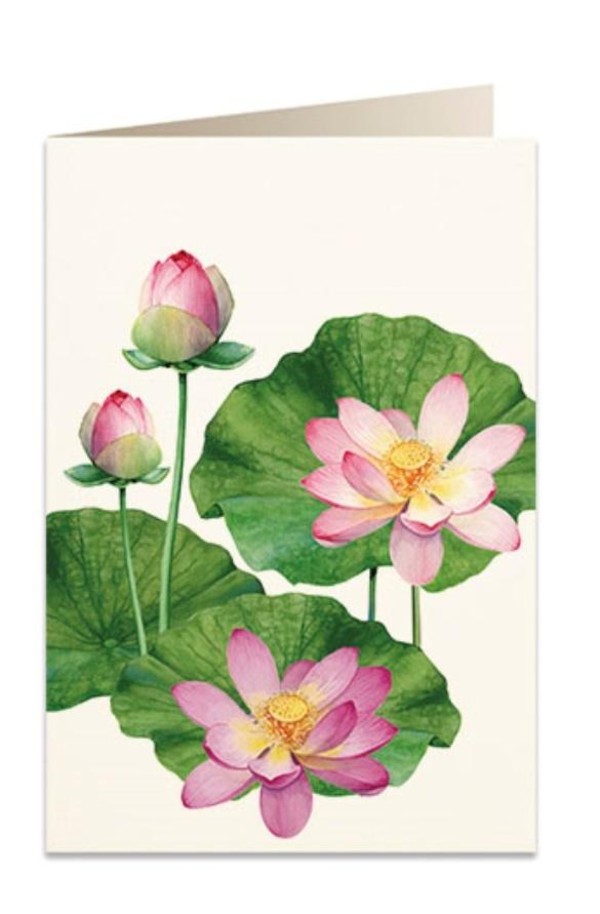 Karnet B6 + koperta Kwiat lotosu 5930
