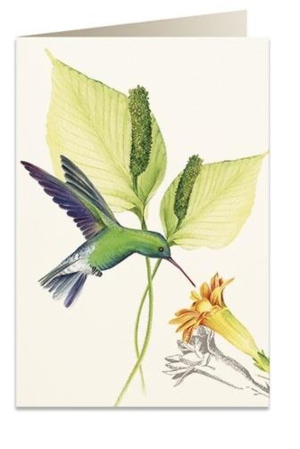 Karnet B6 + koperta Koliber zielony 5999