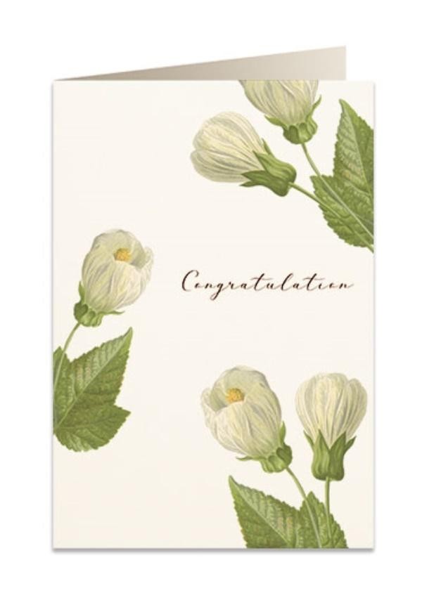 Karnet B6 + koperta Gratulacje kwiaty 6027