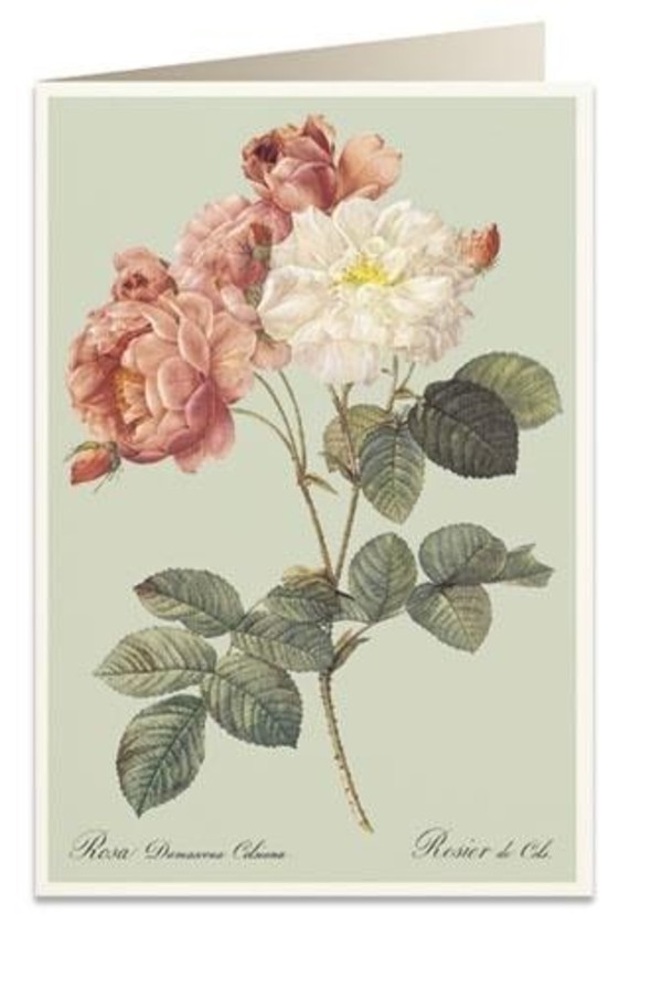 Karnet B6 + koperta Kolorowe róże 6066