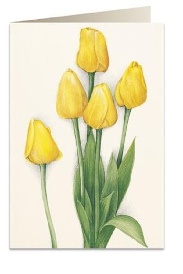 Karnet B6 + koperta Żółte tulipany 7516