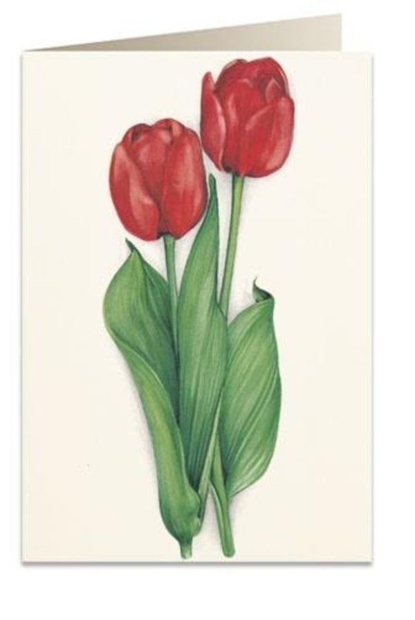 Karnet B6 + koperta Czerwone tulipany 7517