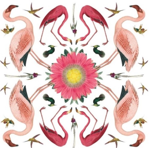 Karnet kwadrat z kopertą Greater Flamingo
