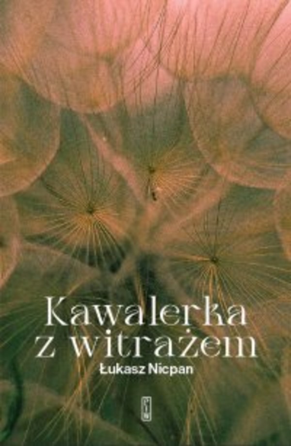 Kawalerka z witrażem - mobi, epub