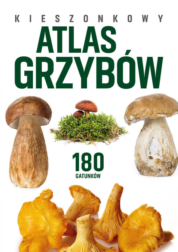 Kieszonkowy atlas grzybów 180 gatunków