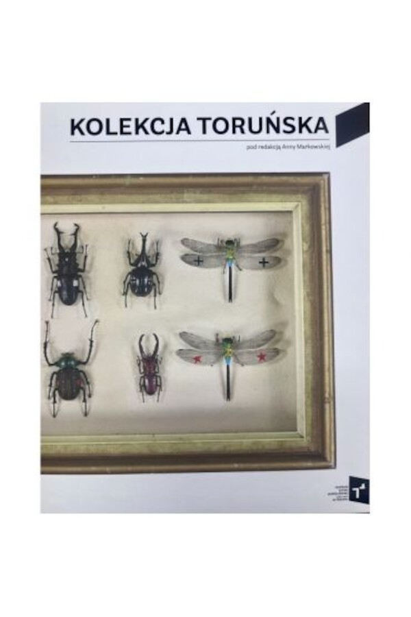 Kolekcja Toruńska Zbiory Centrum Sztuki Współczesnej Znaki Czasu w Toruniu