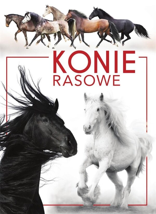 Konie rasowe