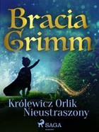 Królewicz Orlik Nieustraszony - mobi, epub