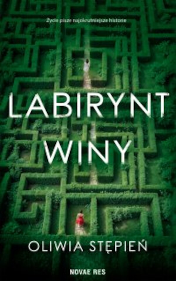 Labirynt winy - epub