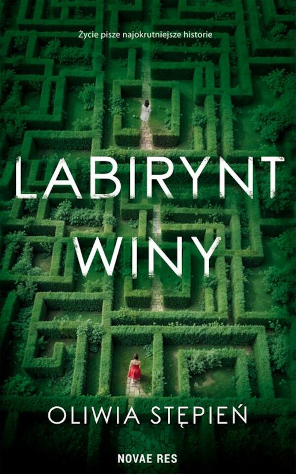 Labirynt winy - mobi, epub