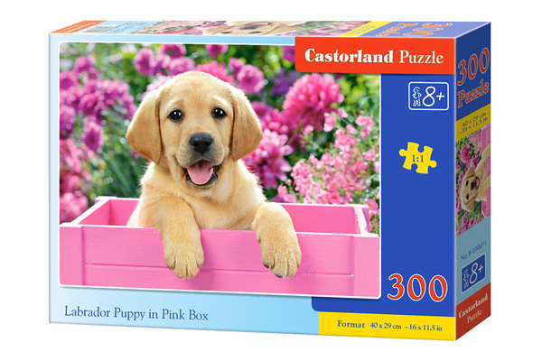 Puzzle Labrador w pudełku 300 elementów