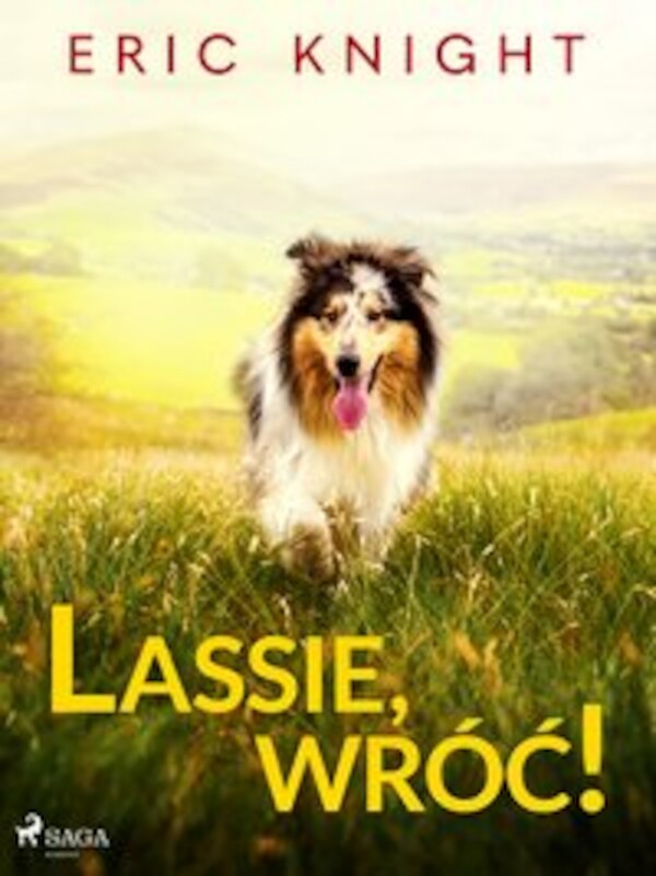 Lassie, wróć! - mobi, epub