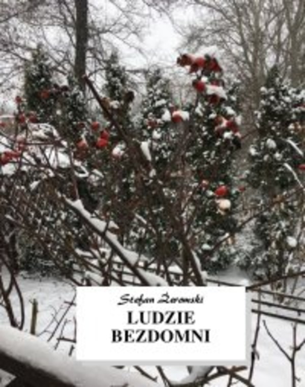 Ludzie bezdomni - mobi, epub