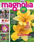 Magnolia - pdf 8/2016