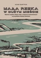 Mała rzeka w dużym mieście. Wybrane aspekty obiegu wody na obszarze zurbanizowanym na przykładzie łódzkiej Sokołówki - pdf