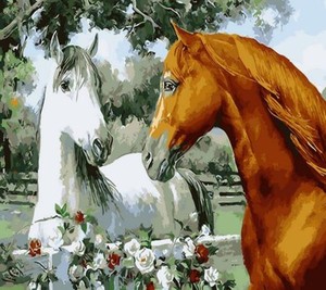 Malowanie po numerach Para koni
