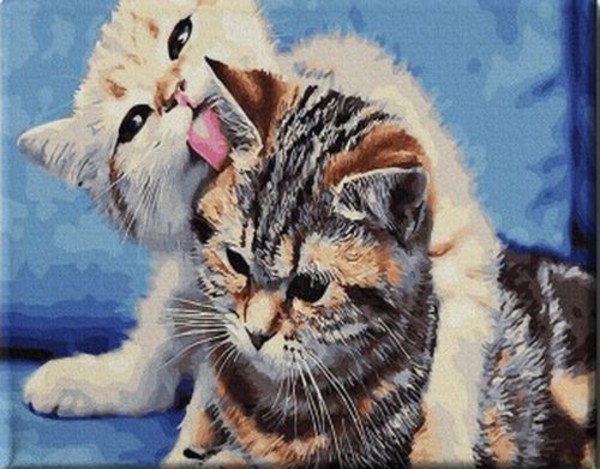 Malowanie po numerach Dwa koty