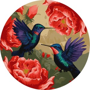 Malowanie po numerach Kolorowe kolibry