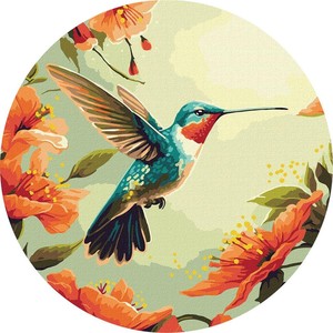 Malowanie po numerach Kolorowy koliber
