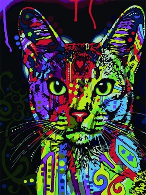 Malowanie po numerach Kolorowy kot 40x50 cm