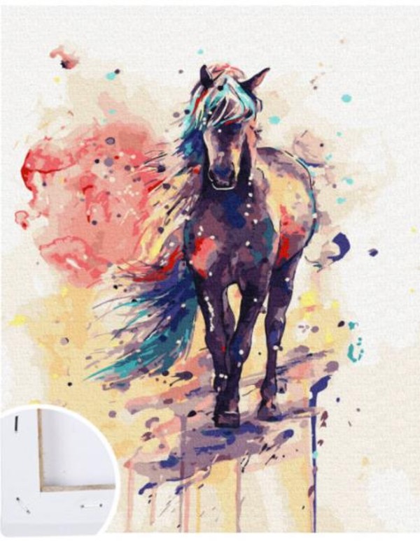 Malowanie po numerach Koń kolorowy