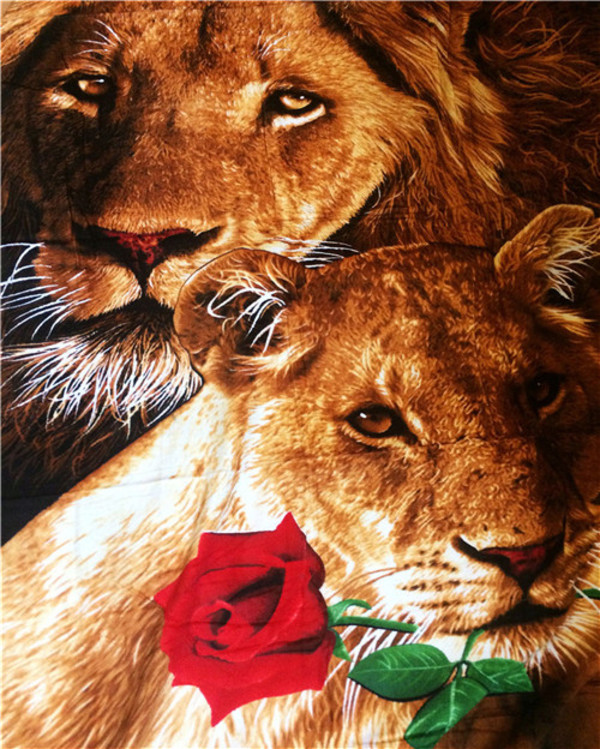Malowanie po numerach Lew i lwica