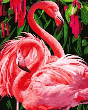 Malowanie po numerach Para Flamingo 40x50 cm