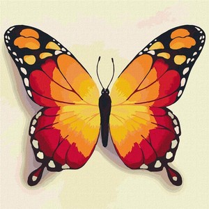 Malowanie po numerach Pomarańczowy motyl 25x25 cm