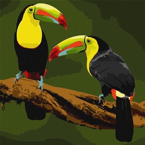Malowanie po numerach Ptaki egzotyczne 40x40 cm