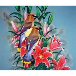 Malowanie po numerach Ptaszki na gałęzi 40 x 50