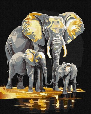Malowanie po numerach Rodzina słoni 40x50 cm