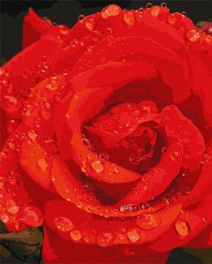 Malowanie po numerach Róża w diamentach 40x50 cm