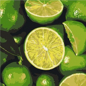 Malowanie po numerach Soczysta limonka 25x25 cm