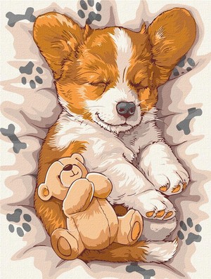 Malowanie po numerach - Śpiący corgi 30x40 cm