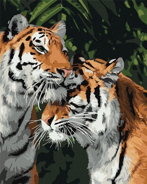 Malowanie po numerach Tygrys miłości 40x50 cm
