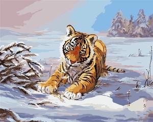 Malowanie po numerach Tygrys w zimie 40x50 cm