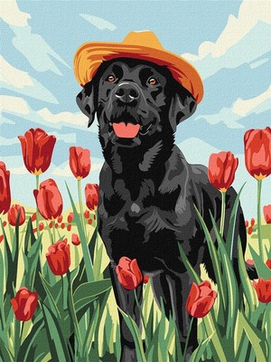 Malowanie po numerach - Uroczy labrador 30x40 cm