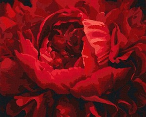 Malowanie po numerach Wyśmienity kwiat 40x50 cm