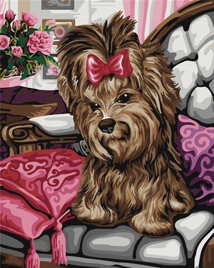 Malowanie po numerach Yorkshire terrier 40x50 cm