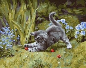 Malowanie po numerach Zabawny kotek 40x50 cm