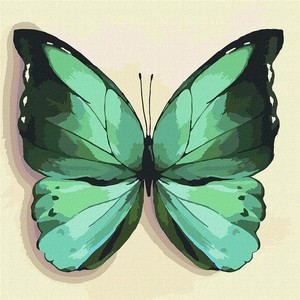 Malowanie po numerach Zielony motyl 25x25 cm