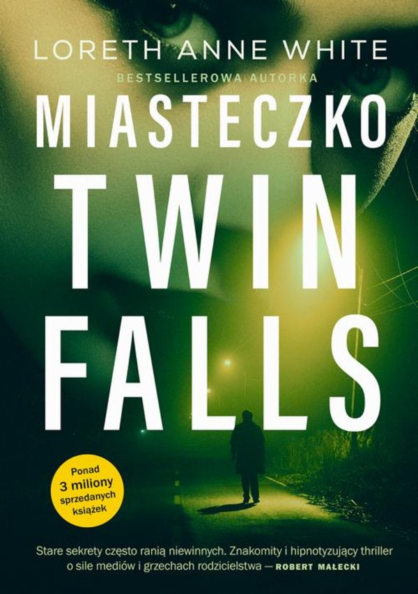 Miasteczko Twin Falls - epub